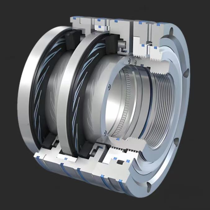 শুকনো গ্যাস সিল সিস্টেম কি?