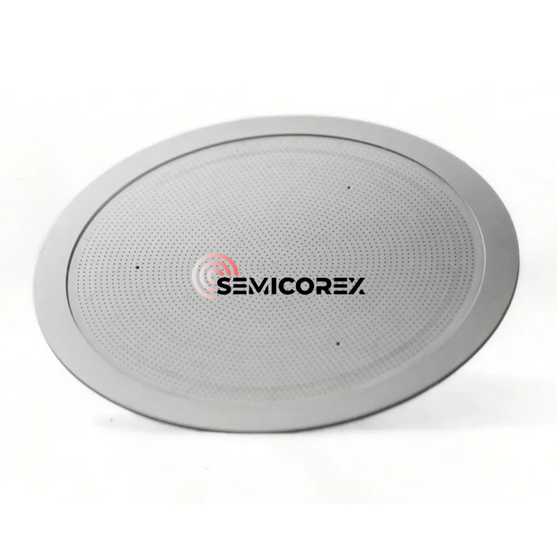 CVD SiC ঝরনা মাথা