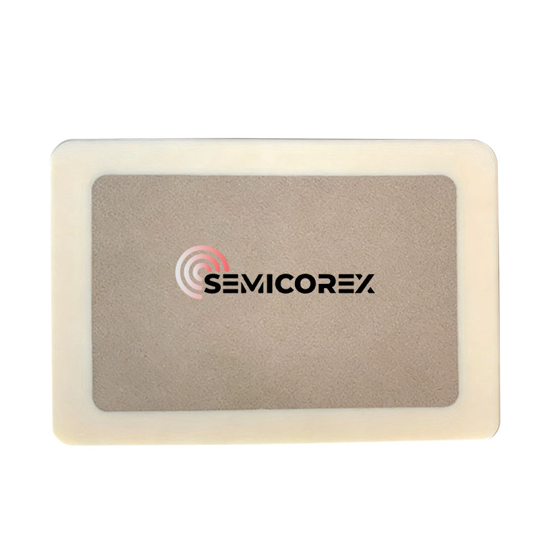 ছিদ্রযুক্ত অ্যালুমিনা ভ্যাকুয়াম চক